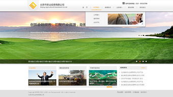 網(wǎng)思中國 高端網(wǎng)站定制與建設(shè)維護(hù)的行業(yè)典范